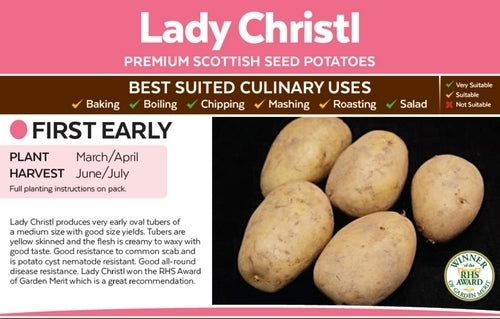 Aardappels 'Lady Christl'