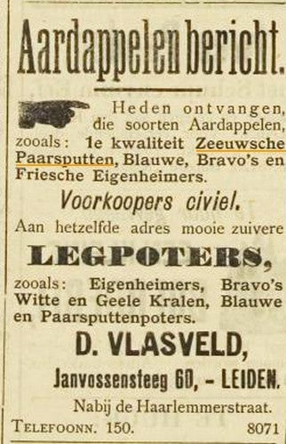 Aardappels 'Paarsput' / 'Paarspit', Blauwput'Of'Blauwpit''