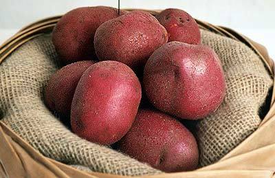 Potatoes 'Red Duke of York' / 'Rode Eersteling'
