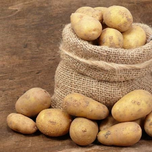 Aardappels 'Sirtema'