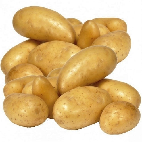 Aardappels 'Sirtema'