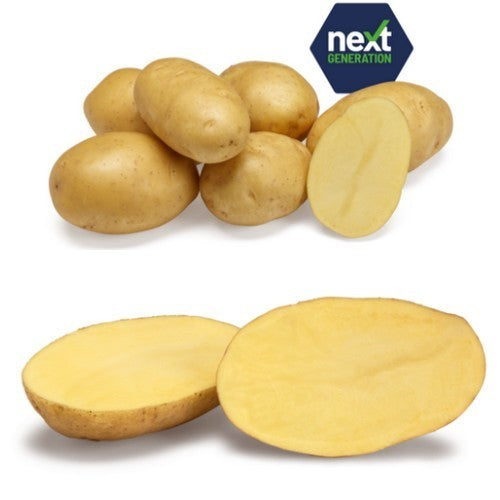 -Aardappels 'Twinner'