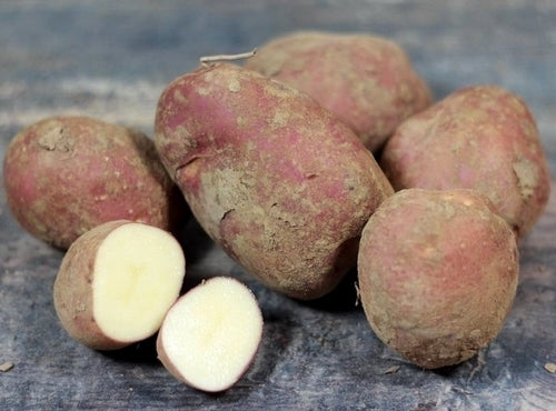 Potatoes 'Dalida'
