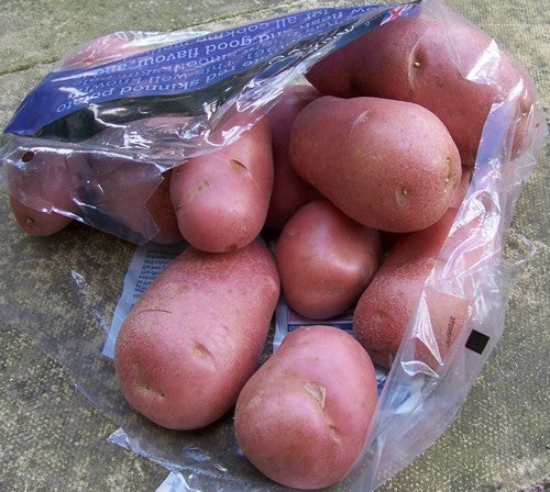 Aardappels 'Désirée'