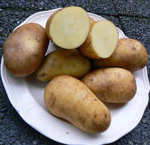 Aardappels 'Les Blondes'