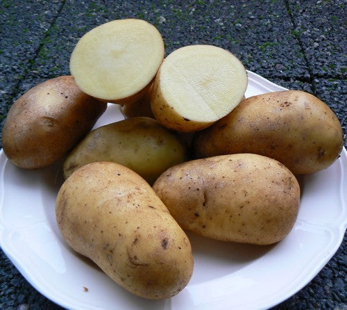 Aardappels 'Les Blondes'