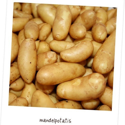 Aardappels 'Mandel' / 'Mandelpotatis', 'Lapin Puikula'