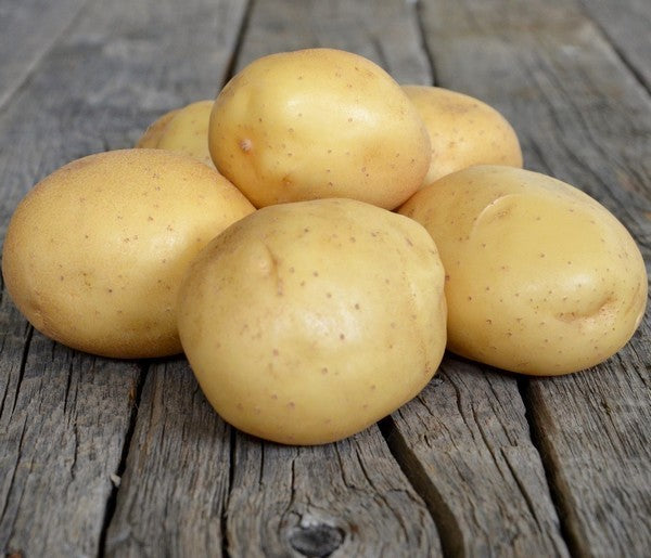 Aardappels 'Melody'