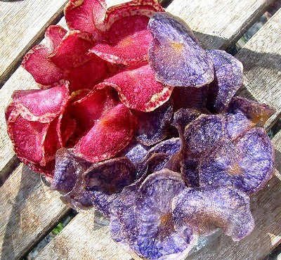 Aardappels 'Red Cardinal' / 'Highland Burgundy Red'