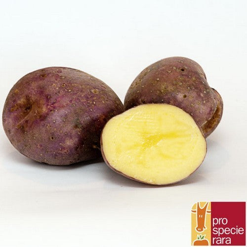 Potatoes 'Röseler' / 'Roeseler'