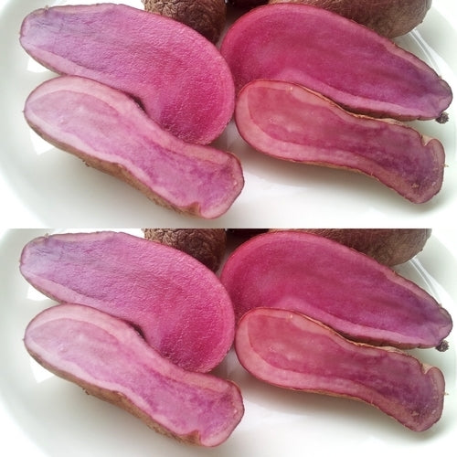 Aardappels 'Rosemarie' / 'Rosalinde'