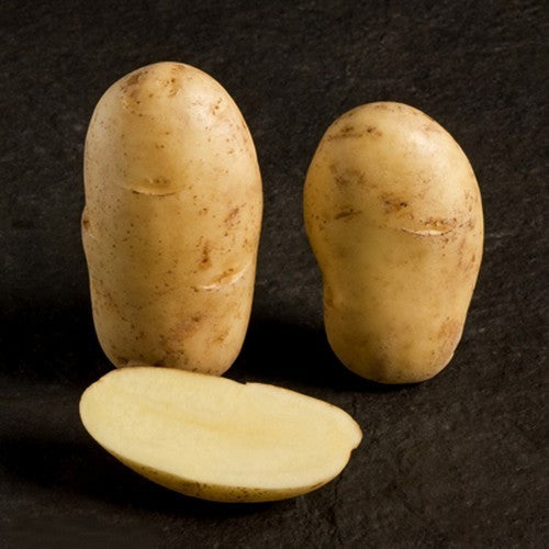 Aardappels 'Spunta'