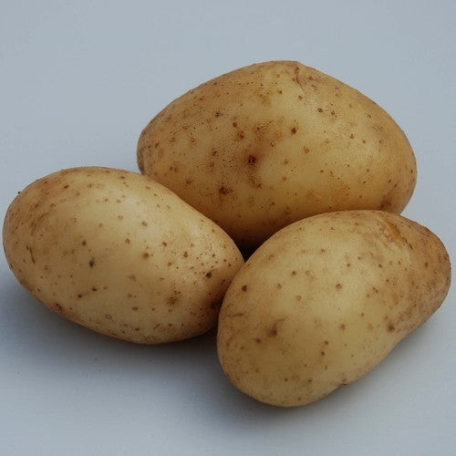 Aardappels 'Spunta'