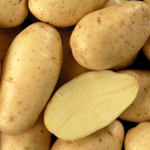 Aardappels 'Spunta'