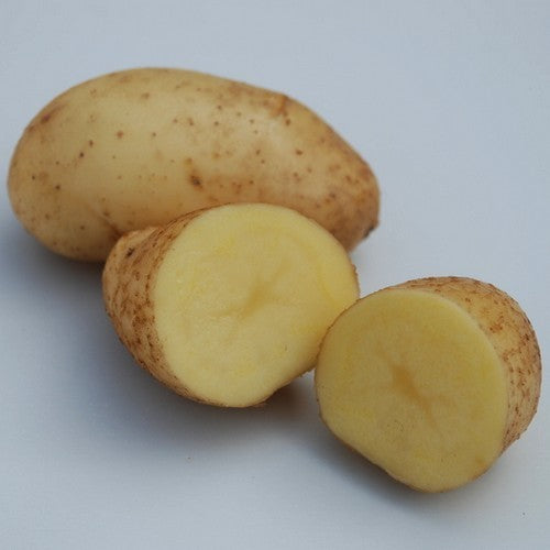Aardappels 'Spunta'