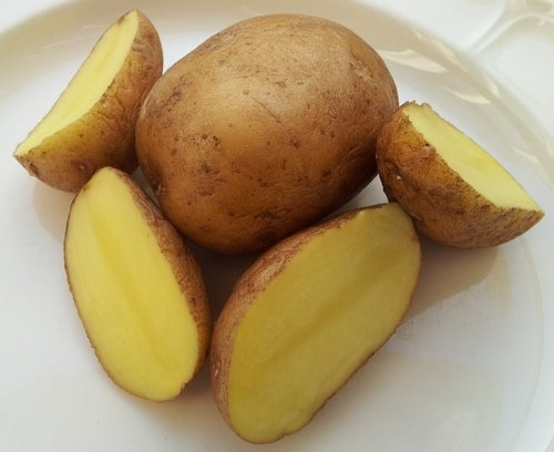 Aardappels 'Sylvia'