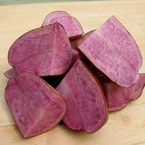Potatoes 'Terra Rossa' / 'Terra Rosa'