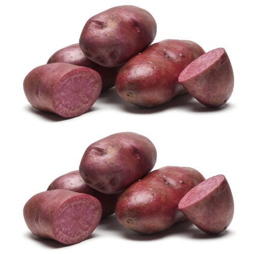 Potatoes 'Terra Rossa' / 'Terra Rosa'