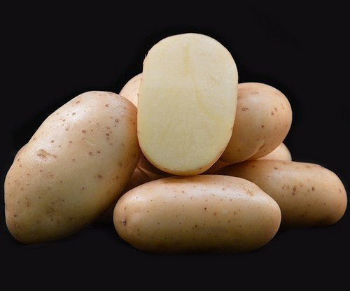 Aardappels 'Toronto'