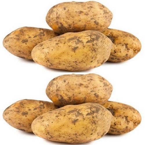 Potatoes 'Victoria'