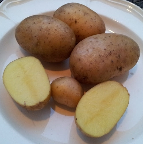 Aardappels 'Atlas'