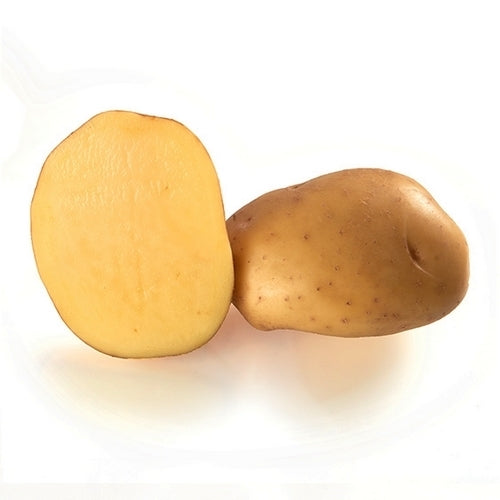 Aardappels 'Atlas'