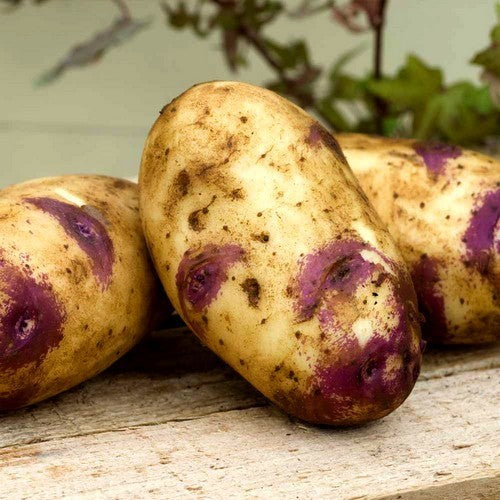 Aardappels 'Blue Belle'