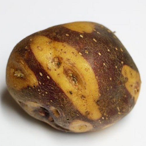 Aardappels 'Blue Eyes'