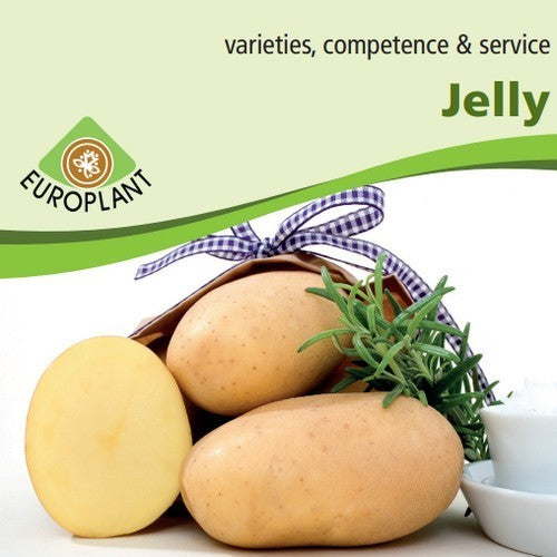 Aardappels 'Jelly'