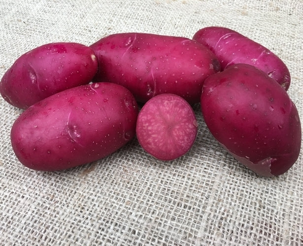 Aardappels 'Lily Rose'