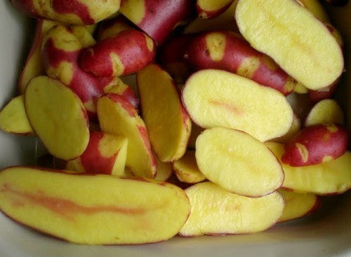 Aardappels 'Mayan Twilight'