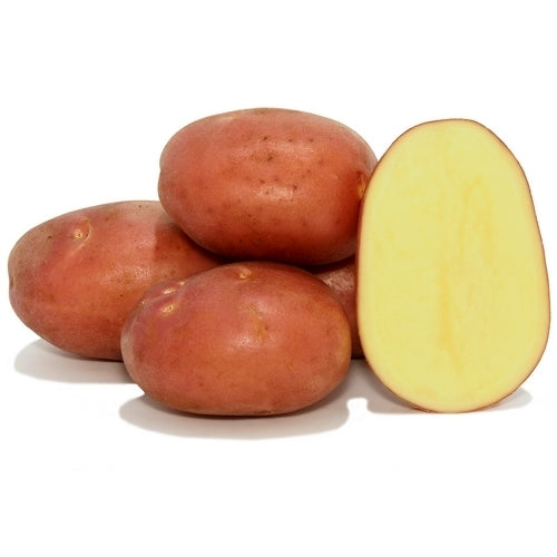 Aardappels 'Mozart'
