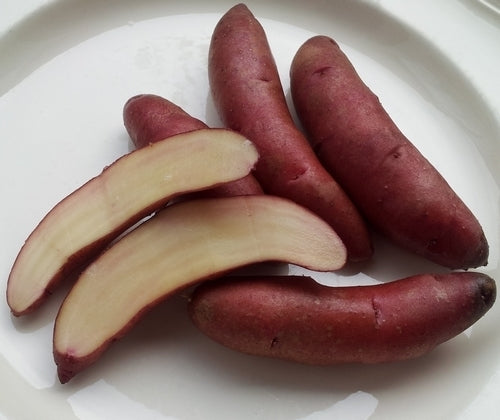 Aardappels 'Papa Cacho'