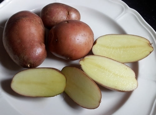 Aardappels 'Red Glenn'