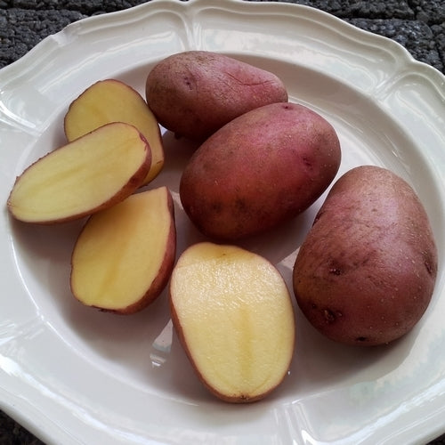 Aardappels 'Red Salomon'