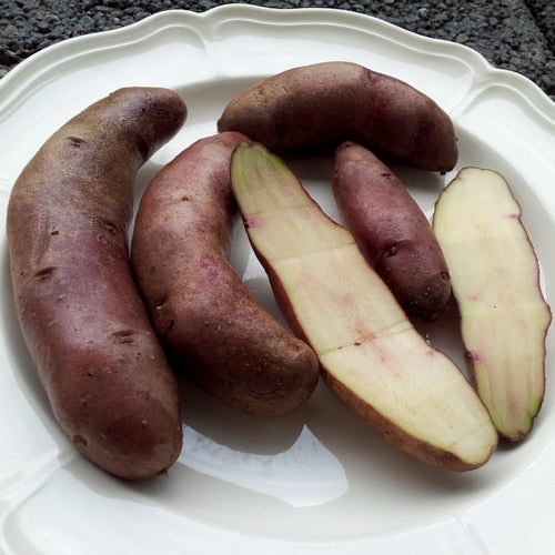 Aardappels 'Teufelshörnchen'
