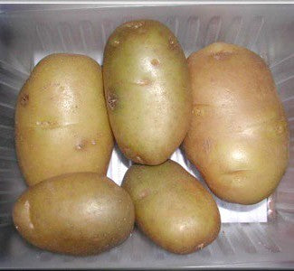Aardappels 'Up-To-Date' / ‘Fin de Siècle’
