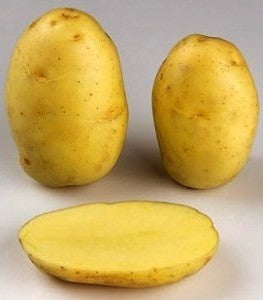 Aardappels 'Up-To-Date' / ‘Fin de Siècle’