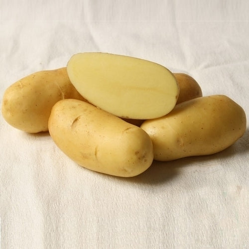 Aardappels 'Altesse'