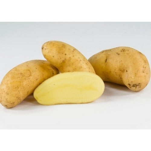 'Amandine' Potatoes