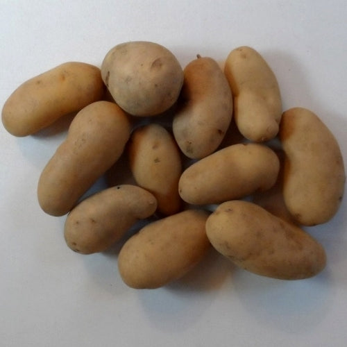 Aardappels 'B.F.15'