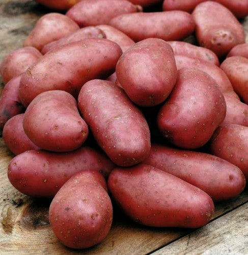 Aardappels 'Cherie'