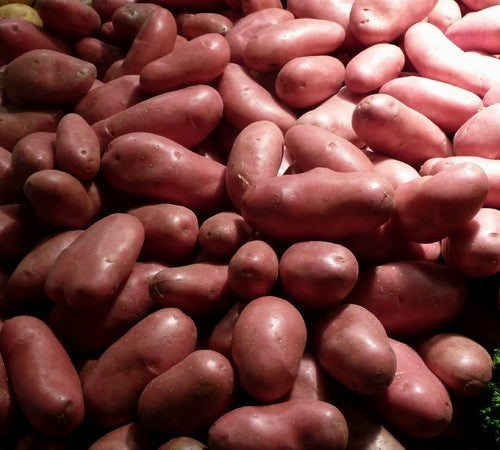 Aardappels 'Cherie'