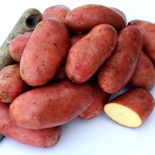 Aardappels 'Cherie'
