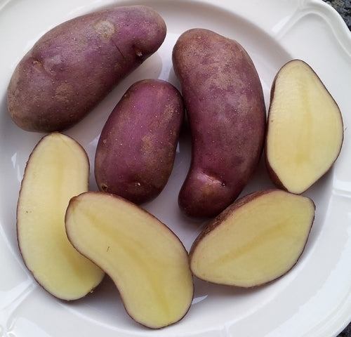 Aardappels 'Gervioline'