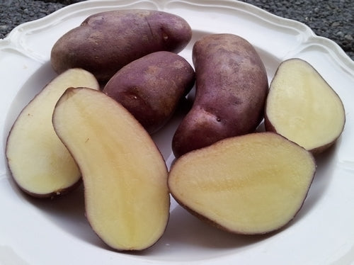 Aardappels 'Gervioline'