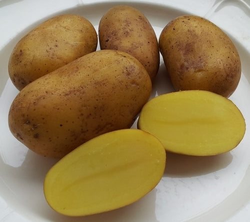 Aardappels 'Goldmarie'