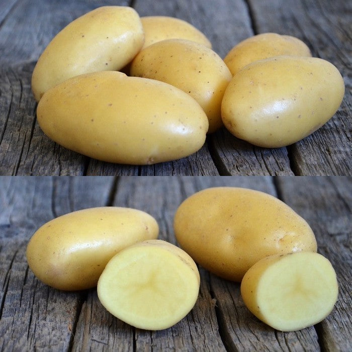 Aardappels 'Gourmandine'