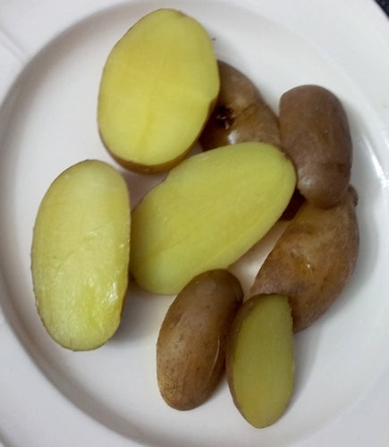 Aardappels 'Gourmatessa'