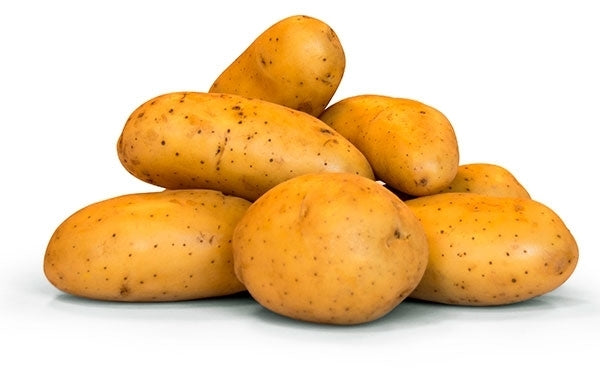 Aardappels 'Miss Mignonne'